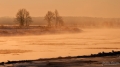 071_Biebrza - marzec 2013